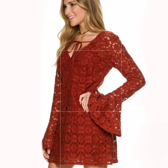 Free people lace v neck bell sleeve sheer back dress size 4 sheer grunge  rock